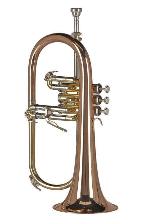 Fliscorno Sib FH501 Ambition Gewa