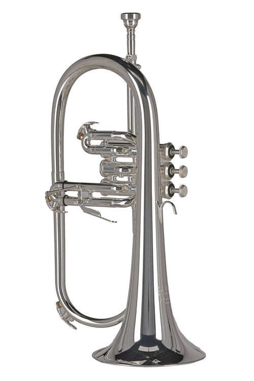 Fliscorno Sib FH501S Ambition Plateada Gewa