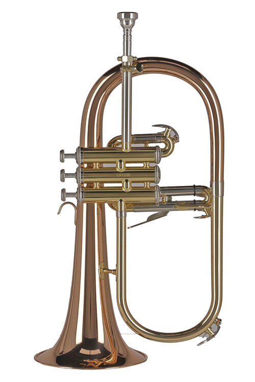 Fliscorno Sib FH501 Ambition Gewa
