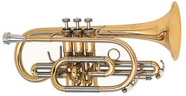 Cornetín BS31422-8-0 Brochon