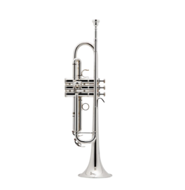 Trompeta estudio Sib Besson New Standard (BE110-2-0) Plateada