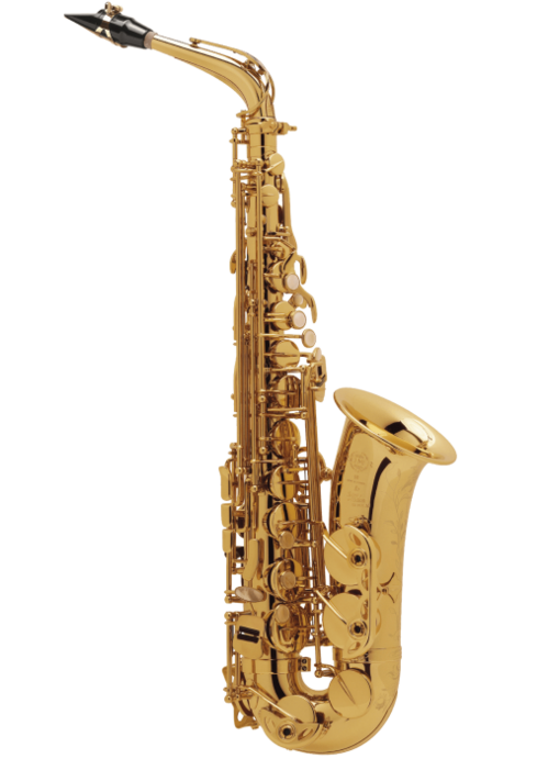 Saxo Alto Selmer SA80/II Jubile Chapado Oro Grabado AUG