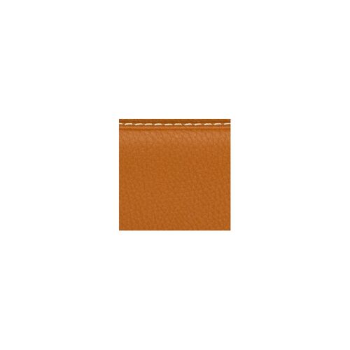 Estuche trompa Bam L'Étoile Hightech ET6001XL Cognac