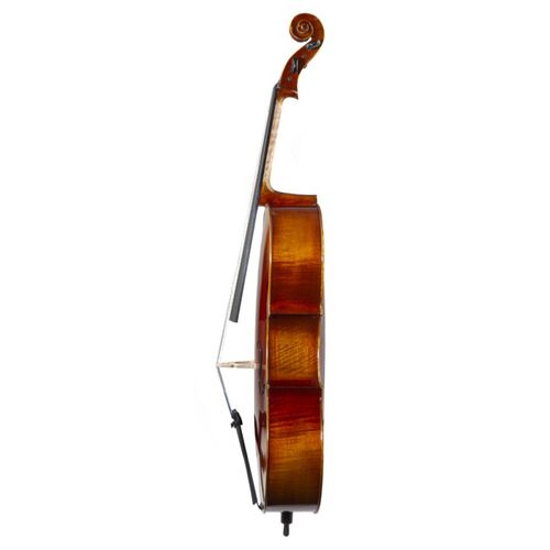 Cello F. Müller Soloist 4/4