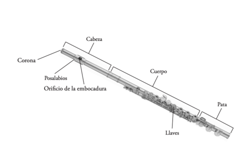 Partes de la flauta