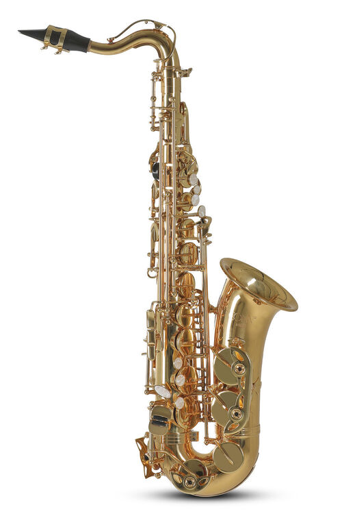 Saxo Alto Eb para nios AS655