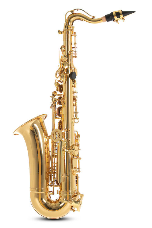 Saxofón alto en Mib Roy Benson AS-201