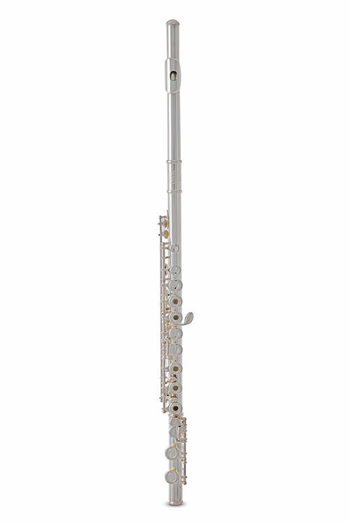 Flauta Roy Benson FL-402R
