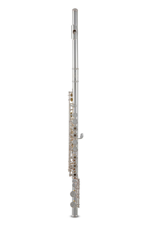 Flauta Roy Benson FL-402R2