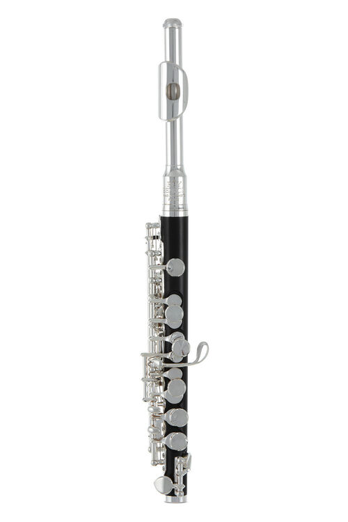 Flauta piccolo Roy Benson PC-502