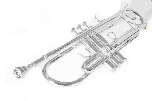 Trompeta Sib Roy Benson TR-403S