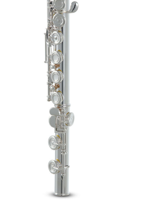 Flauta Roy Benson FL-602E