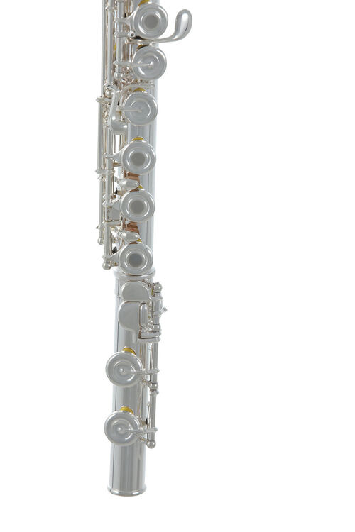 Flauta Roy Benson FL-602RE