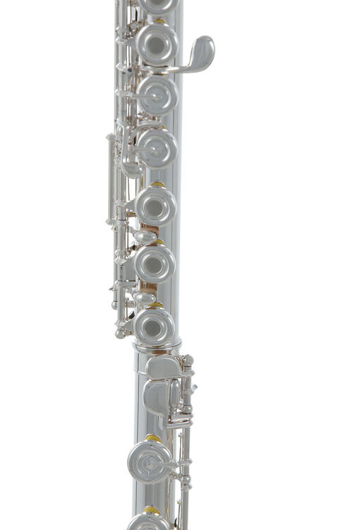 Flauta Roy Benson FL-602RI