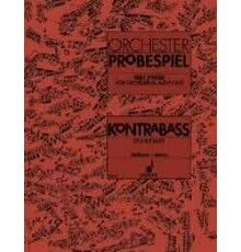Orchester Probespiel. Double Bass
